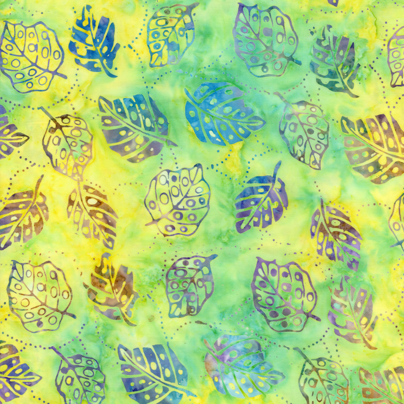 Wasabi Monstera Leaves