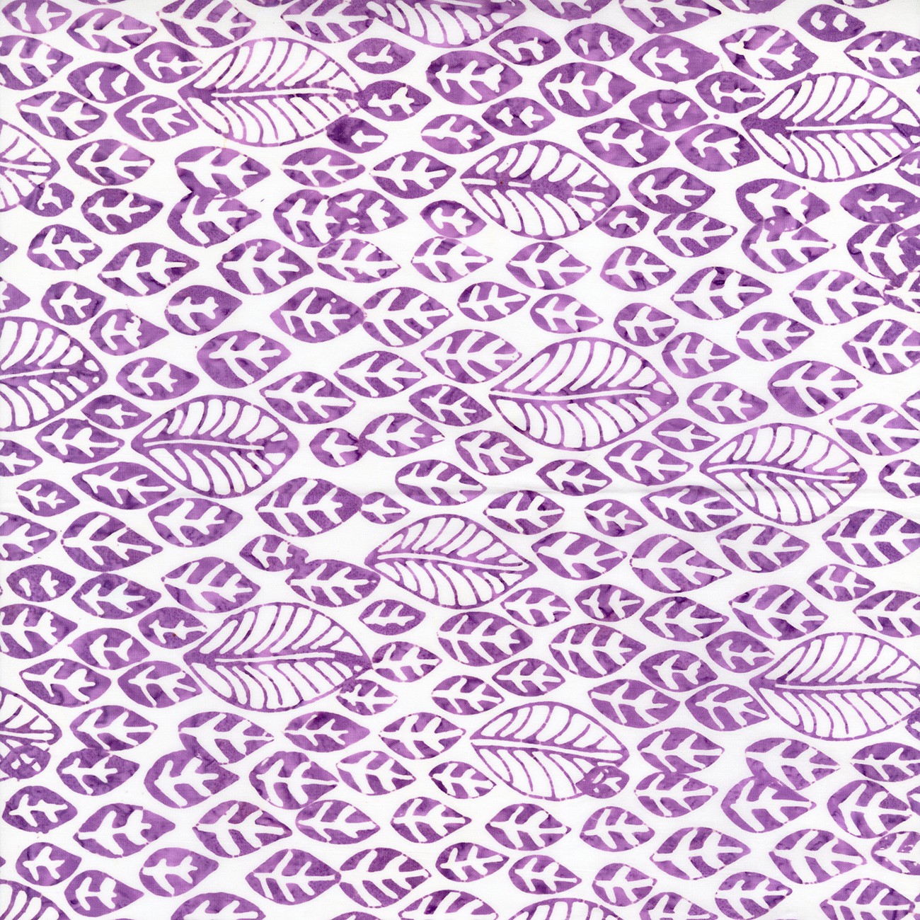 Product Image For B2781-TULIP.