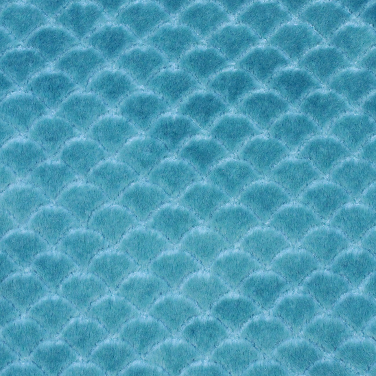 Product Image For BABYBLUEAGAVE.