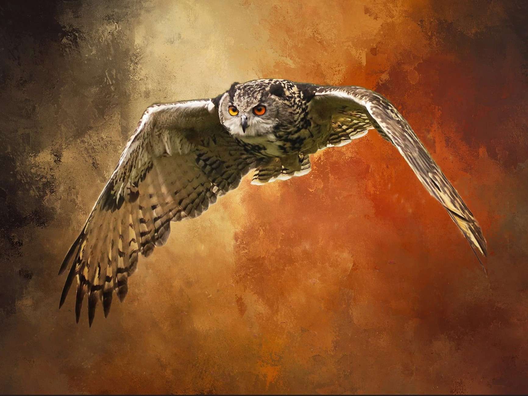 Owl on the Prowl in Flight Panel 25.25in x 17.75in