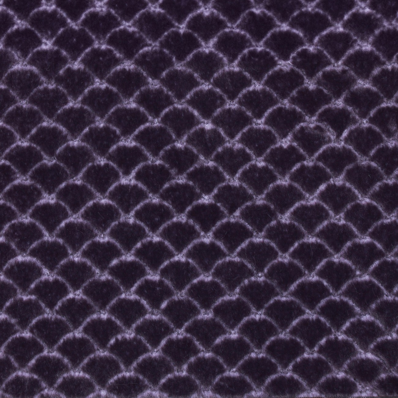 Product Image For BLOOMBLACKBERRY.