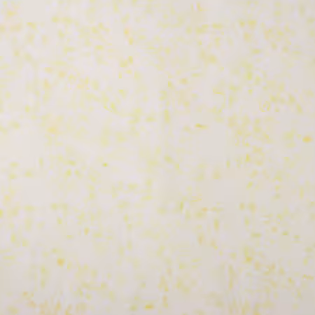 Batiks Elementals Candy Coated Lemon