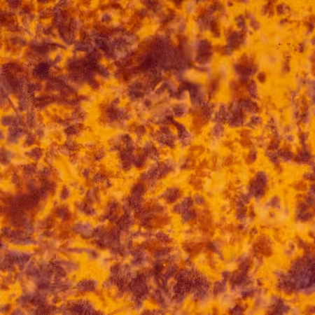 Batiks Hand Dyes Golden Paprika