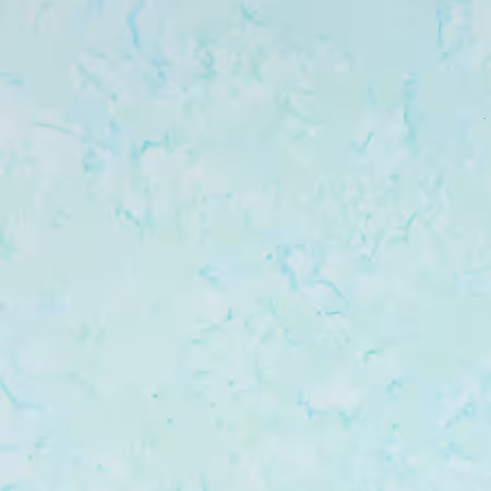 Batiks Hand Dyes 108in Wideback Light Teal