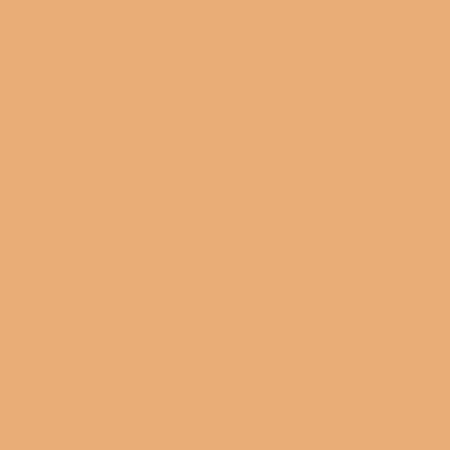 Confetti Cotton Solids Daisy
