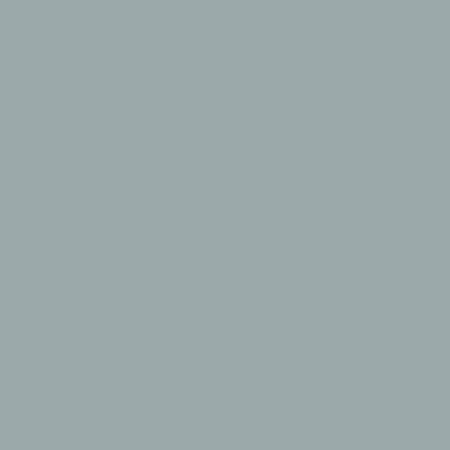 Confetti Cotton Solids Dove