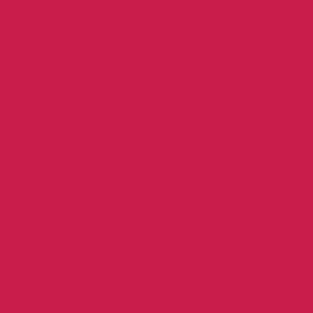 Jazzberry Confetti Cotton Solid