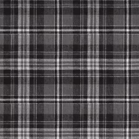Costume Maker's Act II Plaid Black