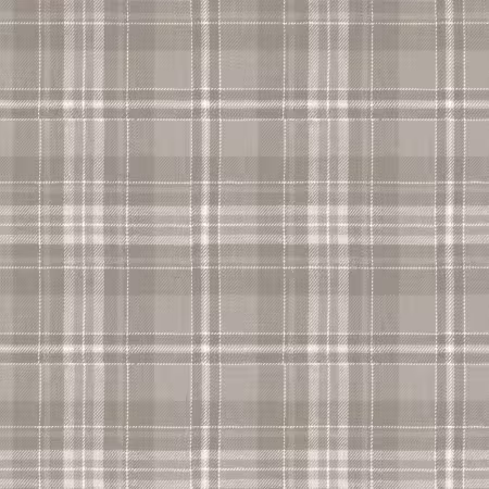 Costume Maker's Act II Plaid Gray