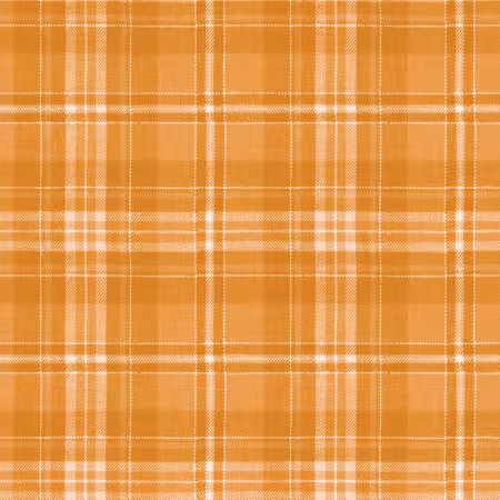 Costume Maker's Act II Plaid Orange