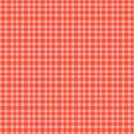 Hand Made Gingham Red