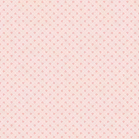 Farmer's Daughter Cherries Background Coral