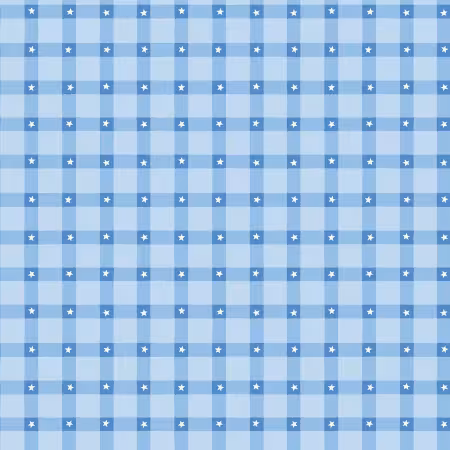 Firecracker Plaid Frost