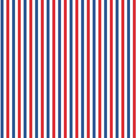 Firecracker Stripes Multi