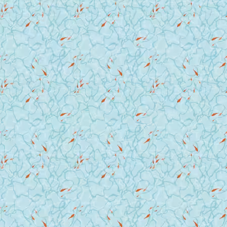 Reef Ocean Floor Sky
