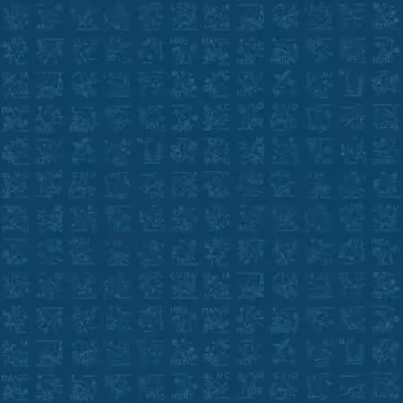 Sew America State Birds Blue