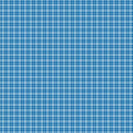 Plaid Blue