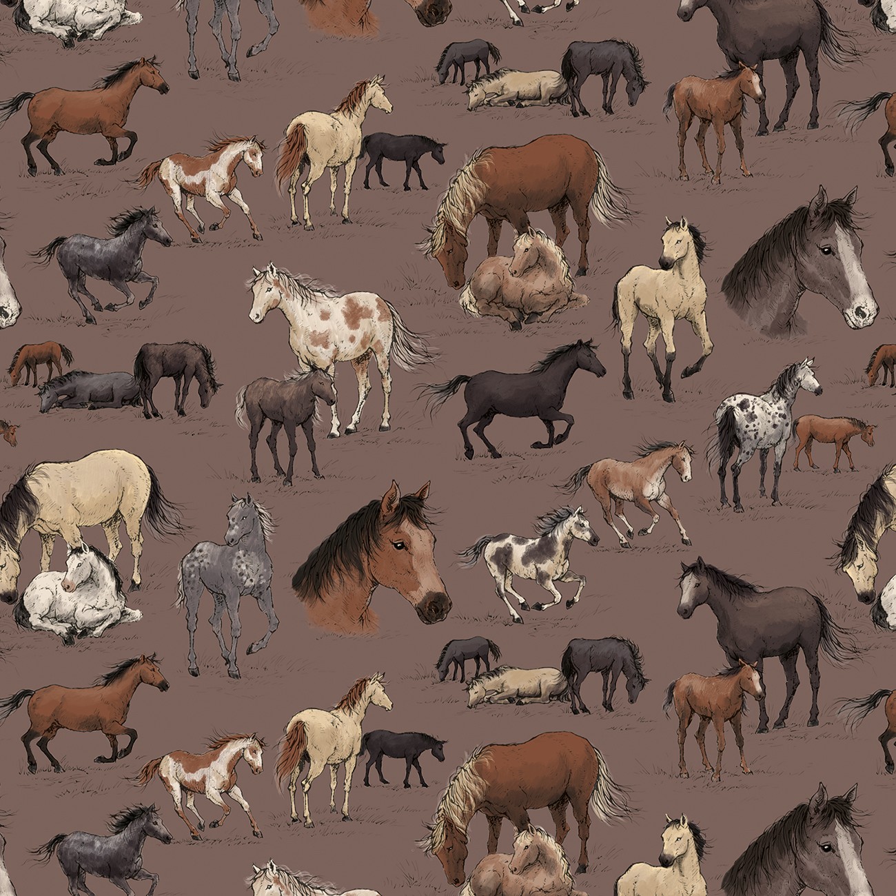 Product Image For C18470R-LTRAISIN.