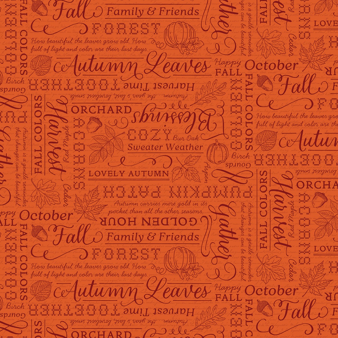 Product Image For C19352R-ORANGE.