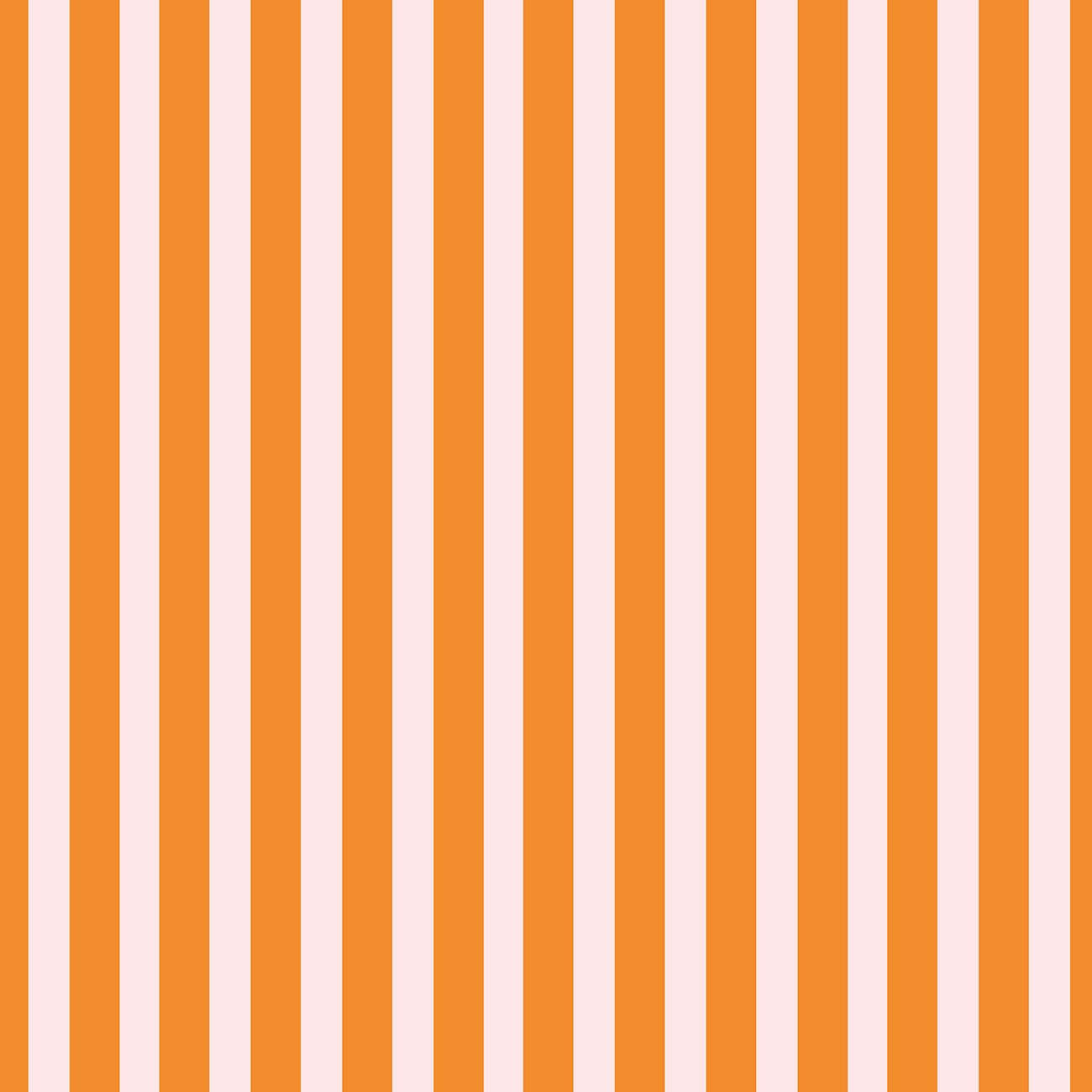 Product Image For C19386R-ORANGE.