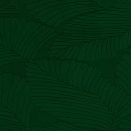 Evergreen Cuddle 3 Extra Wide Tropic Burnout