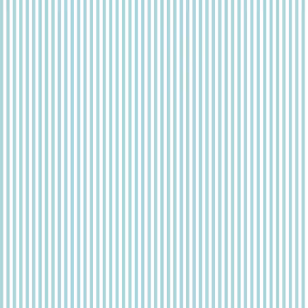 Stripe 1/8 Inch Color Aqua