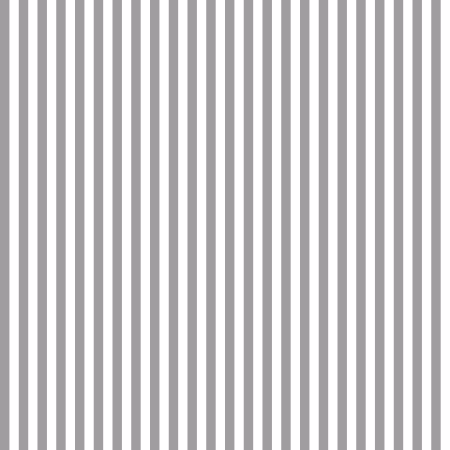 Stripe 1/4 Inch Color Gray