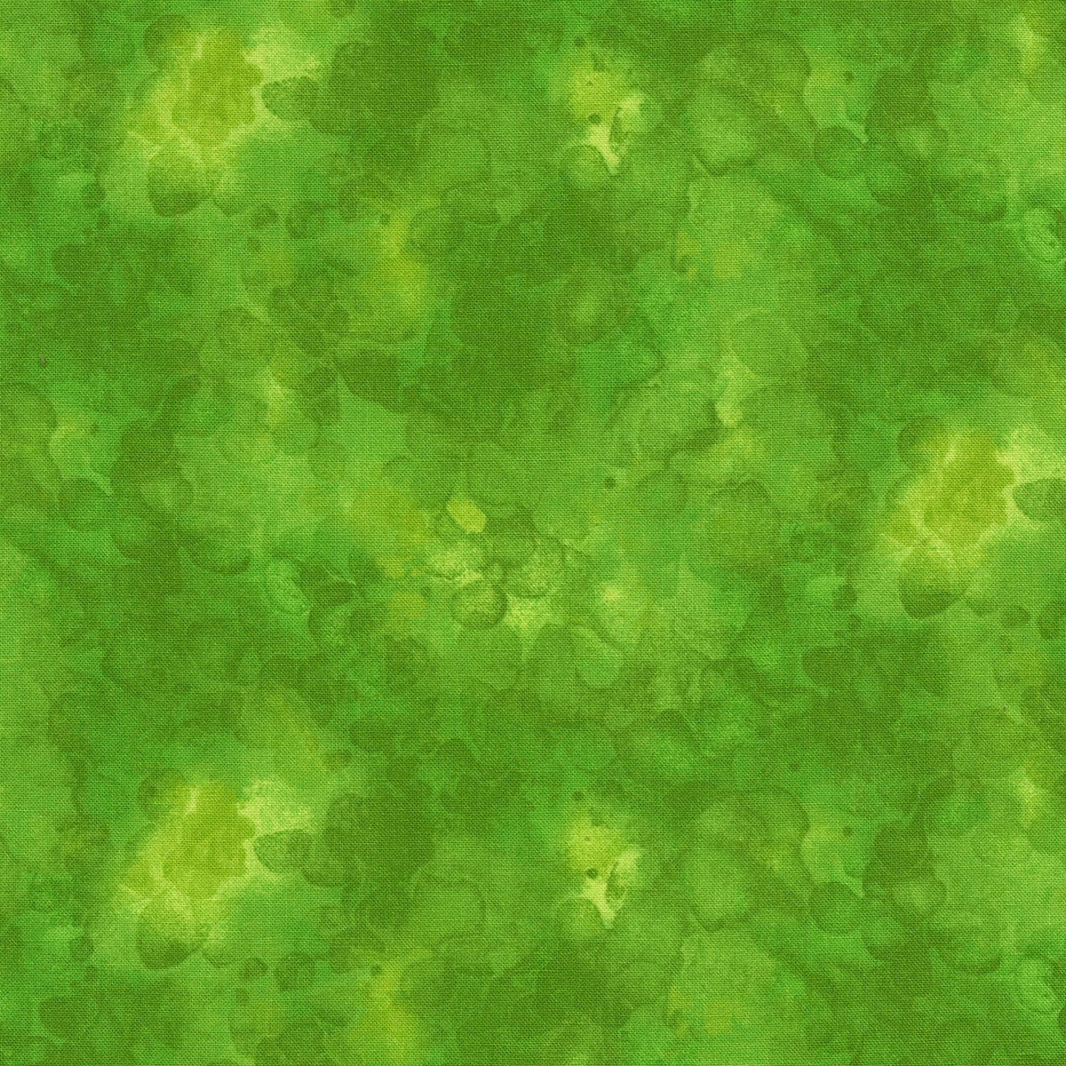 Timeless Treasures Solid-ish by Kimberly Einmo C6100 Sprout Cotton Fabric