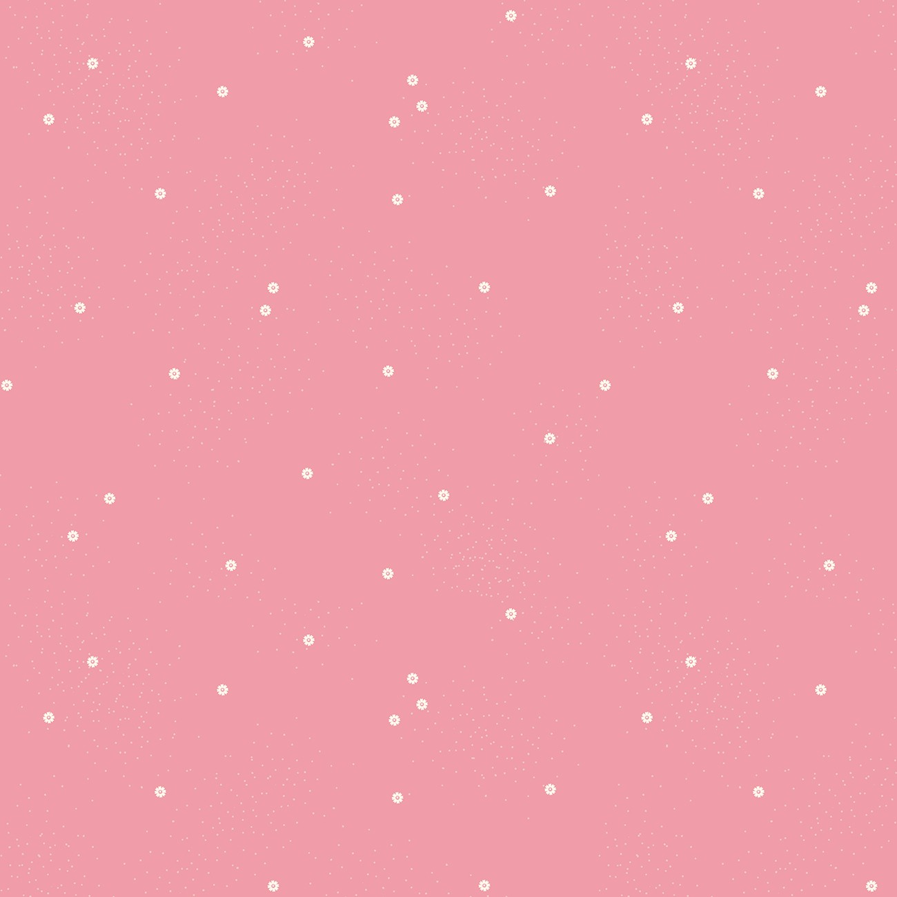 Dainty Daisy Color Peony