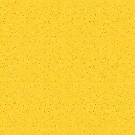 Lemon Meringue Yellow Country Confetti Brights