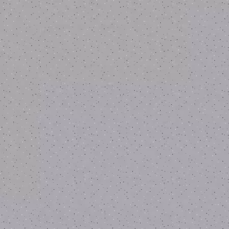 Sidewalk Gray Country Confetti