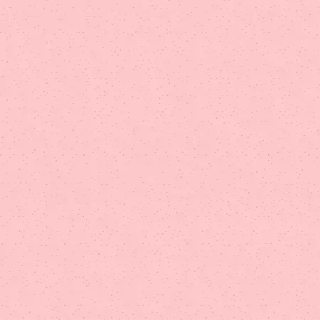 Sweet Blush Light Pink Country Confetti