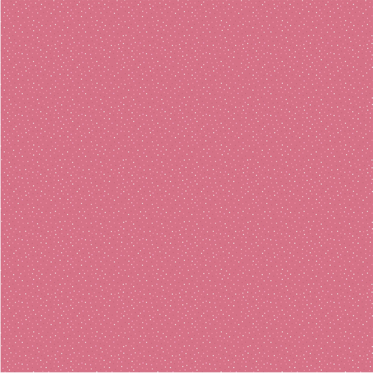 Product Image For CC20244.