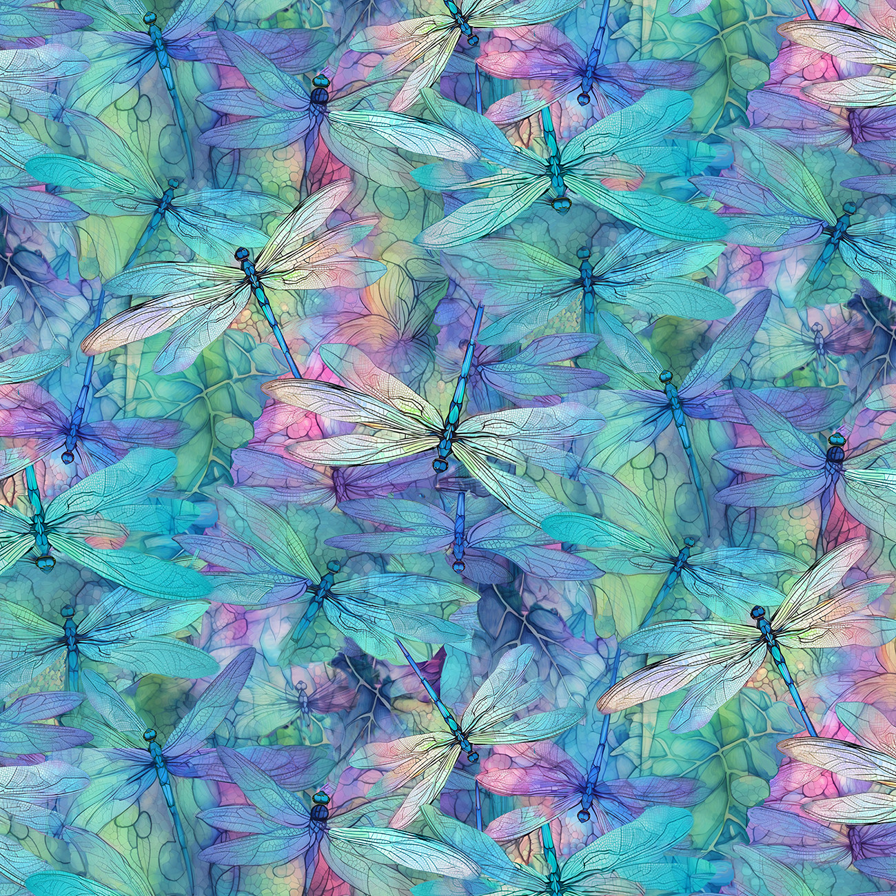 Dream Packed Dragonflies