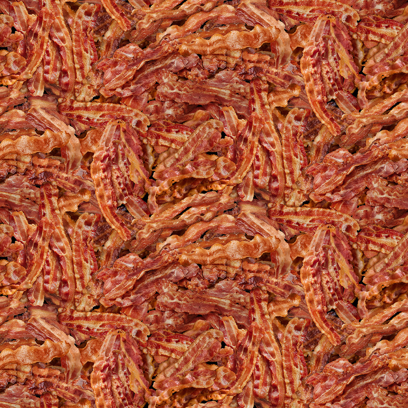 Bacon Packed Fried Becon