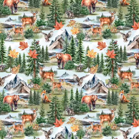 Forest Mountain Animals & Owls