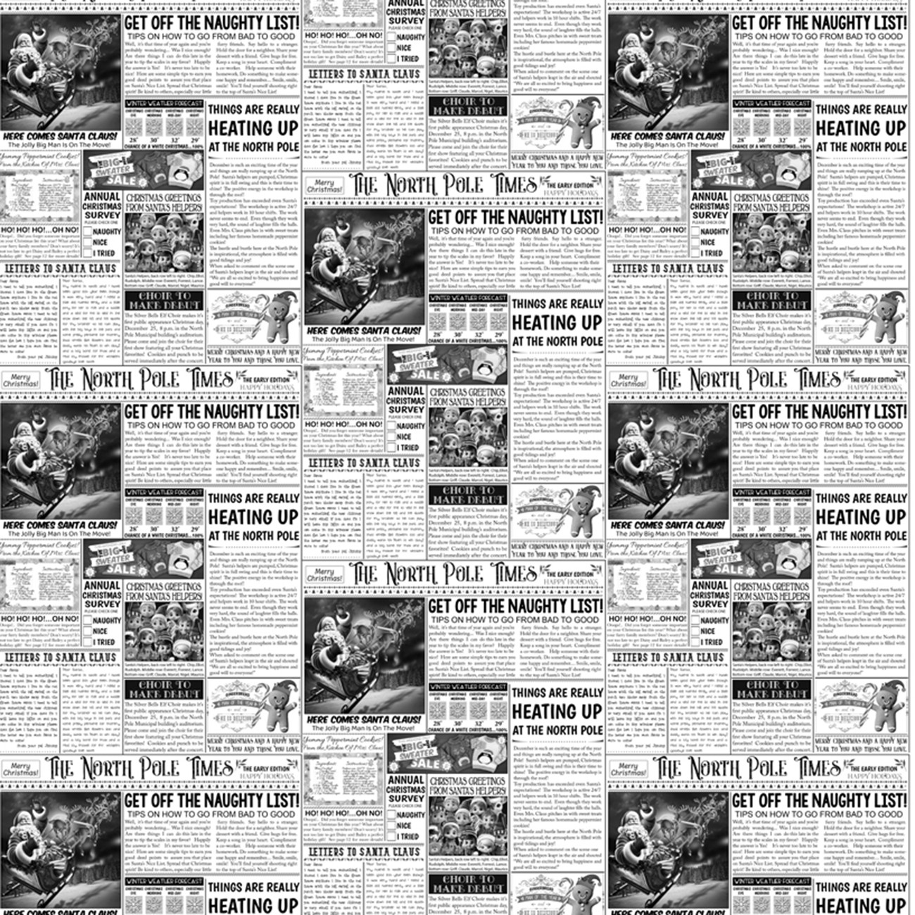 White North Polo Newspaper