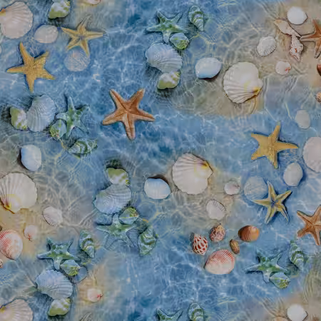 Blue Shells & Starfish