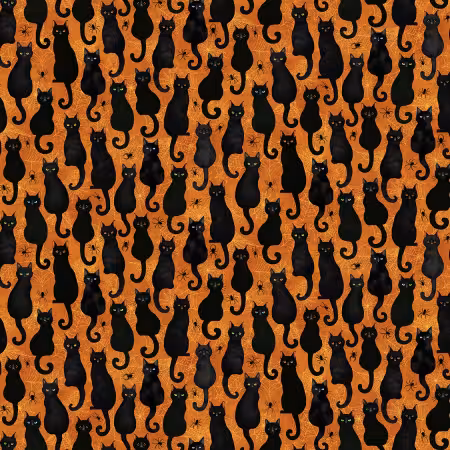 Orange Black Cats & Spiders