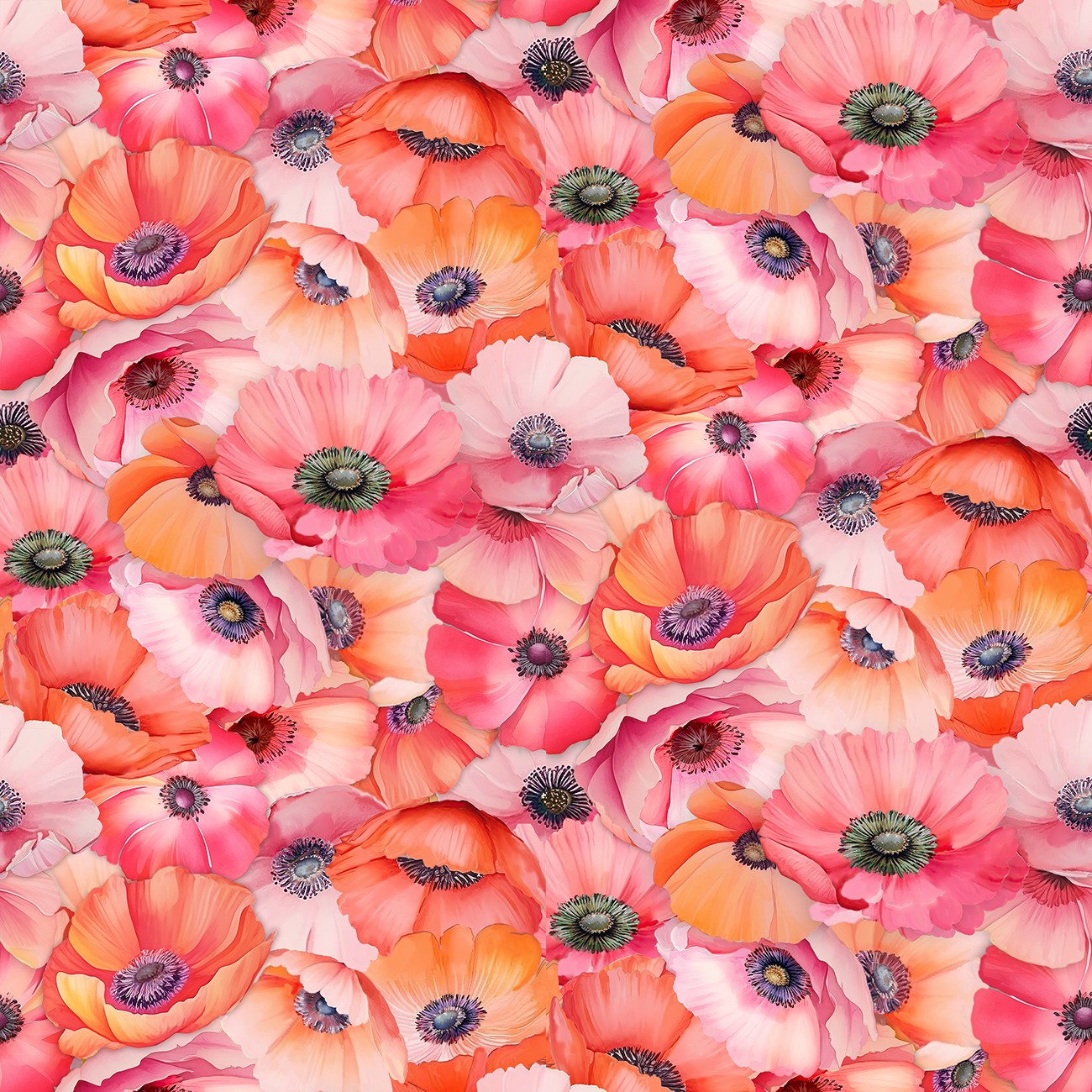 Multi Packed Multi Poppy