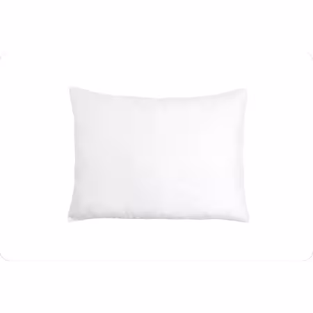 Cuddle Dreamzzz 20X26 Pillow Form Standard