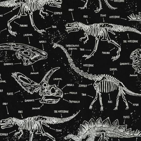 Black Dinosaurs Fossil Glows in the Dark