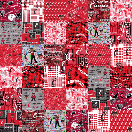 Cincinnati Collegiate Cheater Quilt