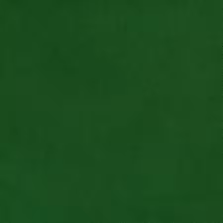 C390 Evergreen 3 Yard Wide Cuddle Cut