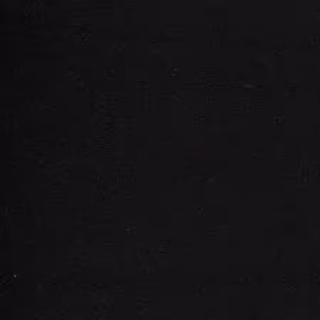 Black Flannel Solid