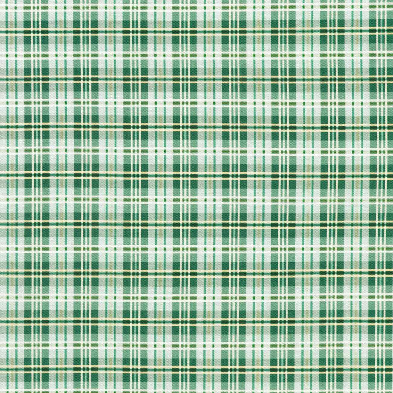 Product Image For CSCD-24503-240.