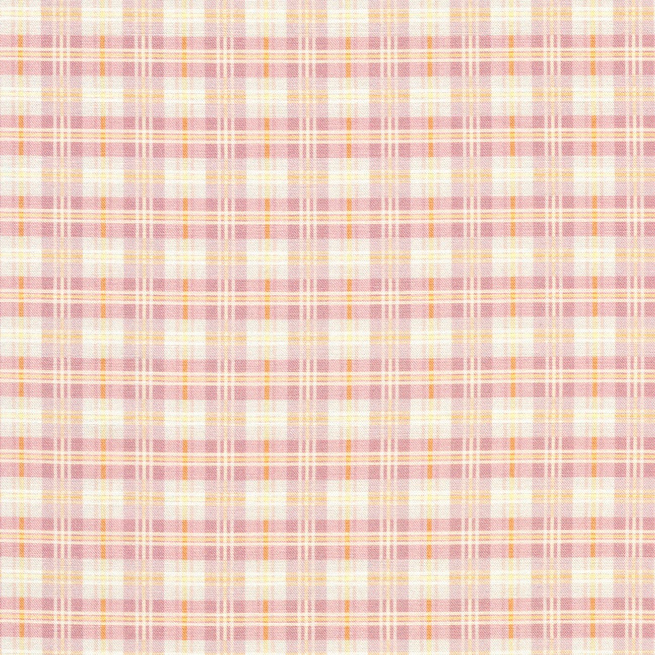 Product Image For CSCD-24503-404.