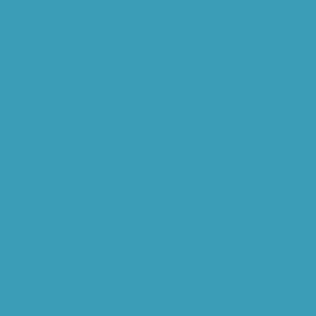 Solids Parrot Blue