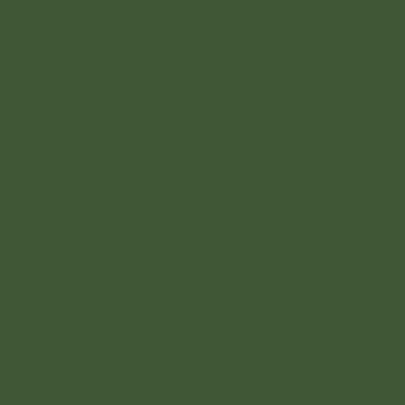 Solids Parsley