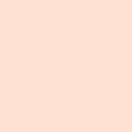 Tula Pink Solids Peach Fuzz